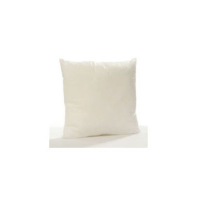 Coussin 40 x 40