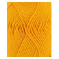 Phil Coton 4 jaune d'or