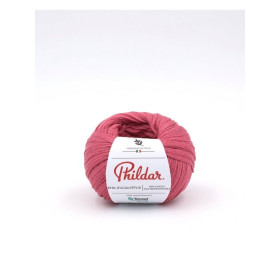 Breiwol Phildar Phil Eucalyptus Rose des sables