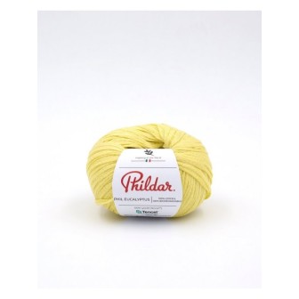 Breiwol Phildar Phil Eucalyptus Zeste