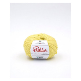 Breiwol Phildar Phil Eucalyptus Zeste