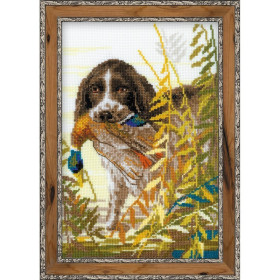 Riolis Borduurpakket Jacht Spaniel
