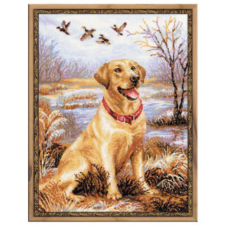 Embroidery kit Labrador