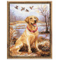 Embroidery kit Labrador Embroidery kit Labrador
