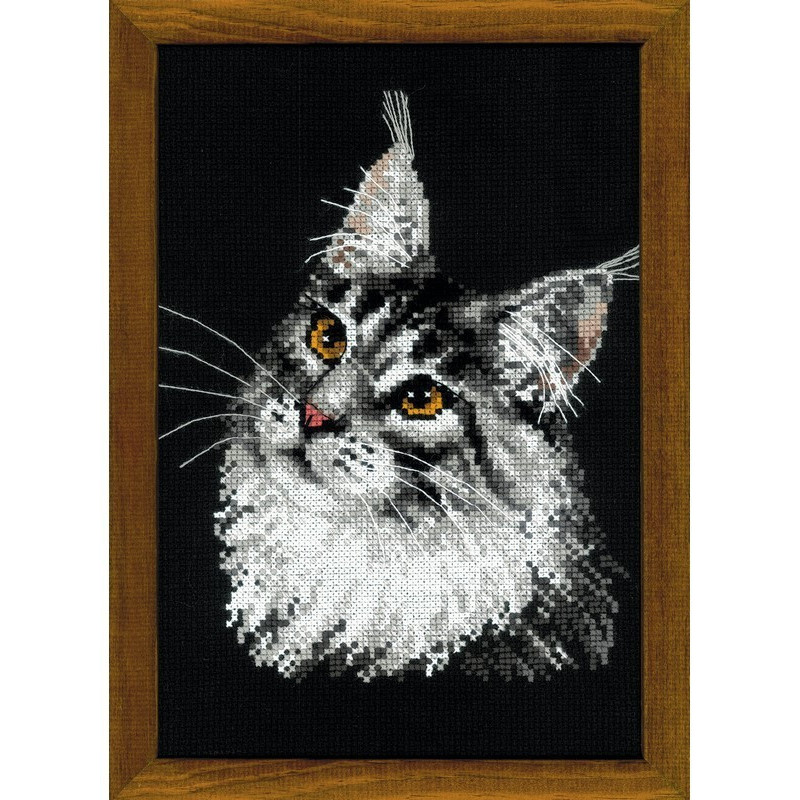 Borduurpakket Maine Coon Borduurpakket Maine Coon