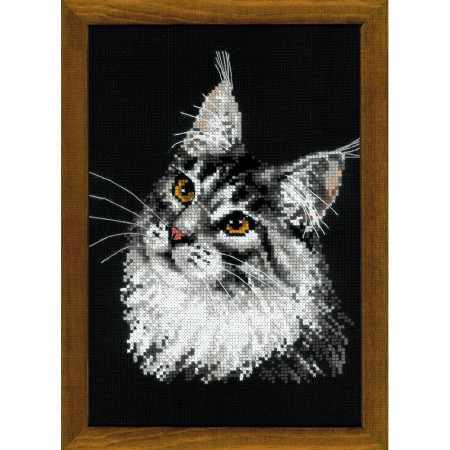 Stickset Amerikanische Waldkatze
