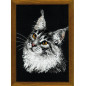 Stickset Amerikanische Waldkatze Stickset Amerikanische Waldkatze