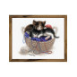 Borduurpakket Kittens in een mand Borduurpakket Kittens in een mand