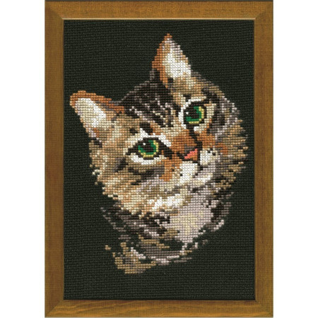 Riolis Kit de broderie Chat gris