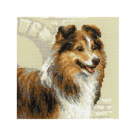 Borduurpakket Sheltie