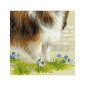 Embroidery kit Sheltie Embroidery kit Sheltie