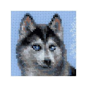 Riolis Borduurpakket Husky