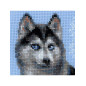 Borduurpakket Husky Borduurpakket Husky