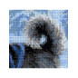 Embroidery kit Husky Embroidery kit Husky
