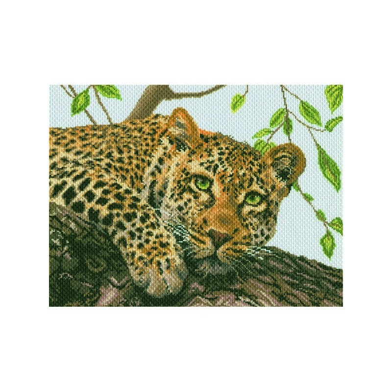 Printed Aida kit Leopard