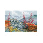 Embroidery kit Wonderful North 1