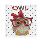Kit de broderie Le hibou aux lunettes Kit de broderie Le hibou aux lunettes