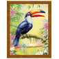 Embroidery kit Toucan Embroidery kit Toucan