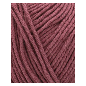 Breiwol Phildar Phil Ecocoton Aubergine