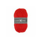 Soqs 318 Tomato