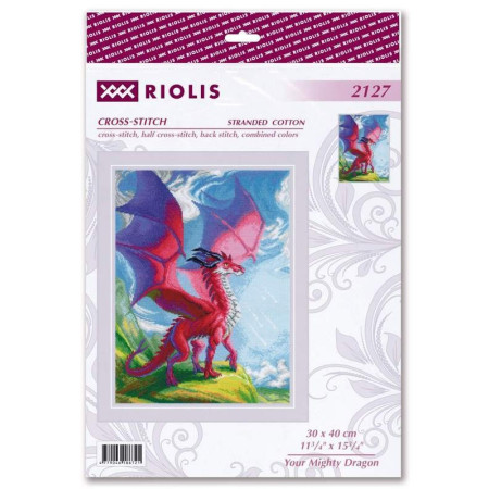 Kit de broderie Your mighty dragon
