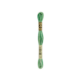 borduurgaren DMC Mouliné 125