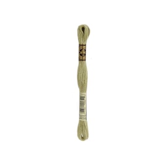 DMC Mouliné 3013