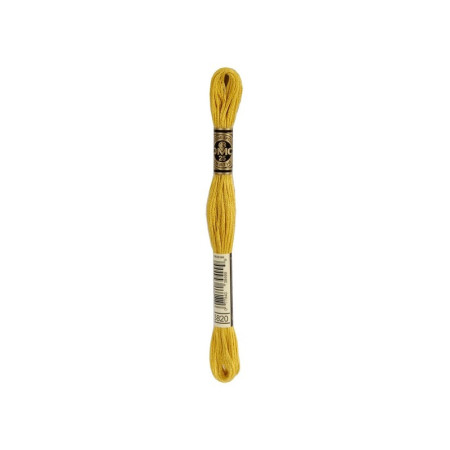 DMC Mouliné Spécial 3820