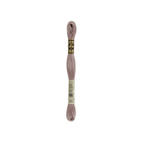 borduurgaren DMC Mouliné 3861