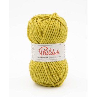 Knitting yarn Phildar Phil Partner 6 Absinthe