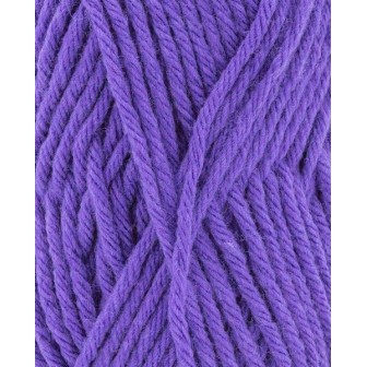 Strickwolle Phildar  Phil Partner 6 Violet
