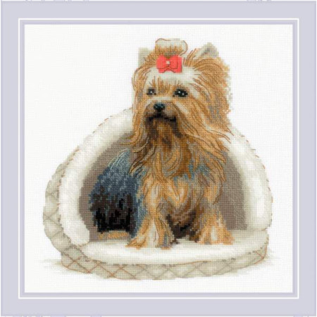 Stickset Yorkshire Terrier