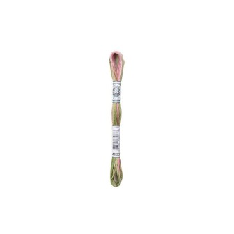 DMC Mouliné Coloris 4500