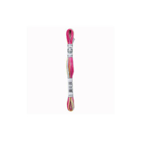 DMC Mouliné Coloris 4502