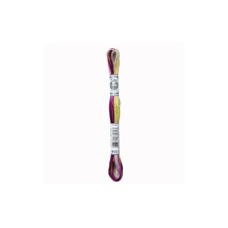 DMC Mouliné Coloris 4503