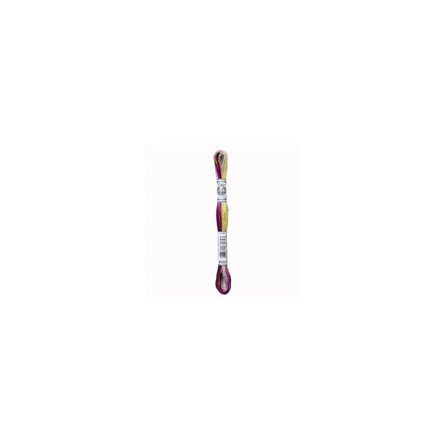 DMC Mouliné Coloris 4503