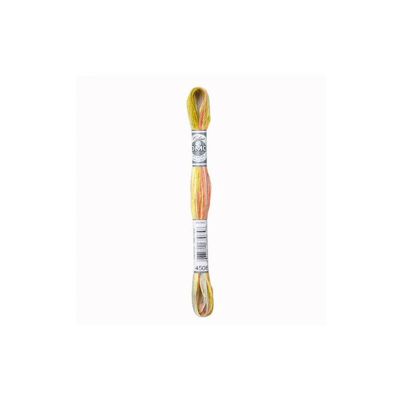 DMC Mouliné Coloris 4508