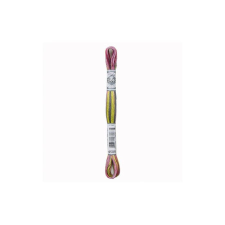 DMC Mouliné Coloris 4509
