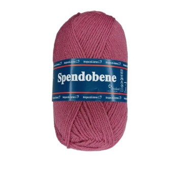 Spendobene 41