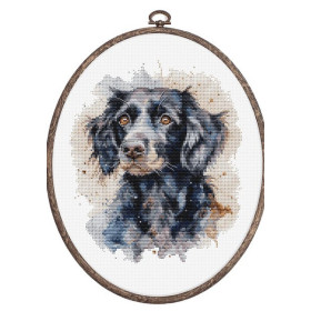 Luca-S Stickset Border Collie