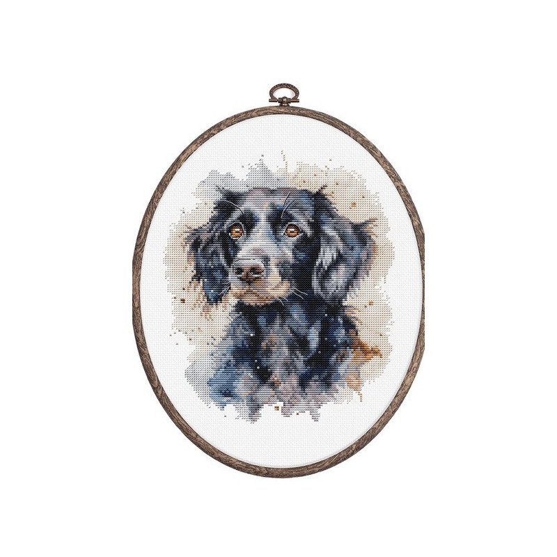 Stickset Border Collie Stickset Border Collie