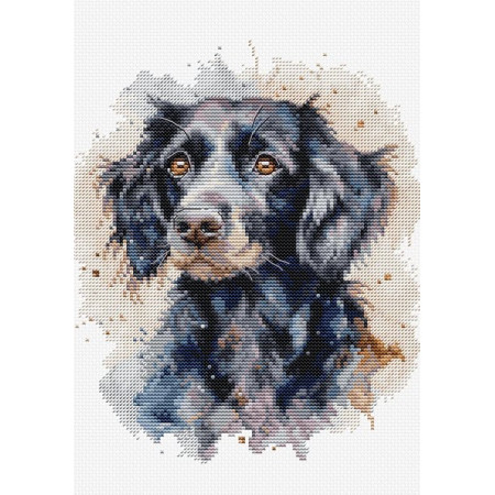 Embroidery kit Border Collie