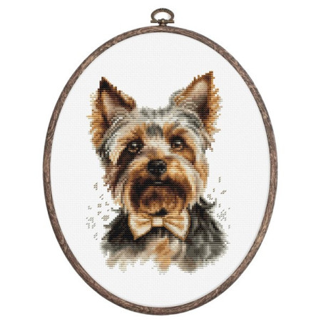 Kit de broderie Yorkshire Terrier