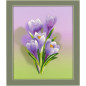 Stickset Krokusse Stickset Krokusse