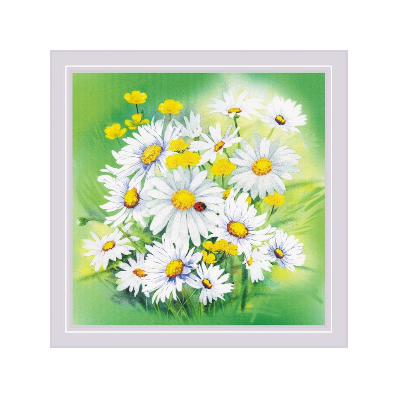 Borduurpakket Kamillebloemen Borduurpakket Kamillebloemen