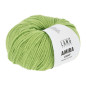 Amira Light 016