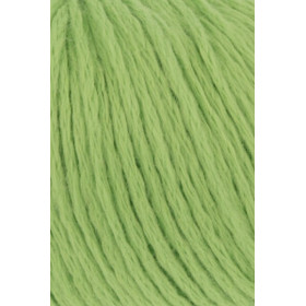 Amira Light 016
