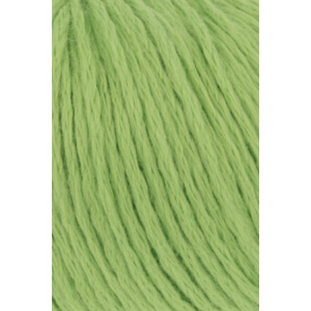 Amira Light 016