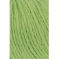 Amira Light 016
