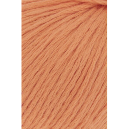 Amira Light 059
